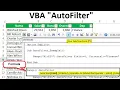 Auto Filter In Excel VBA
