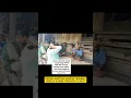 Download Lagu Kawin lari orang pu anak di bawah umur