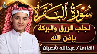 سورة البقرة كاملة || لطرد الشياطين وتحصين المنزل || الطفل القارئ عبدالله شعبان || Surat Al Baqarah