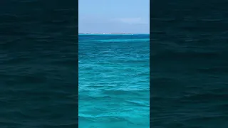 Exuma Cays. Leaf Cay,