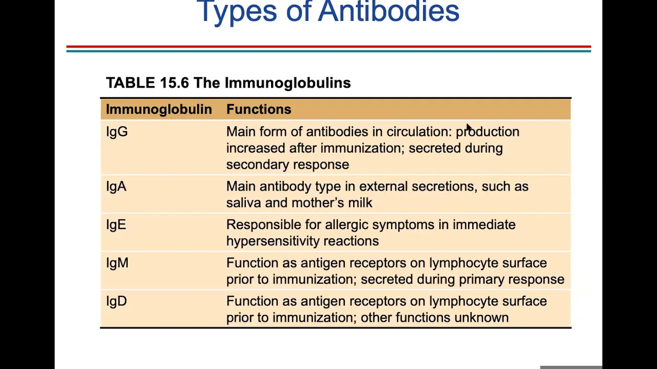 Ch. 15 (Immune/Lymphatic System)