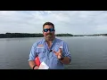 Diver Down and Alpha Dive Flag Laws Explained