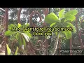 Hello - Lionel Richie | Song with Lyrics ( Dbijis Channel )