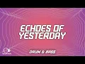 Download Lagu Polygon - Echoes Of Yesterday (Lyrics)