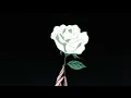 Download Lagu yume utsutsu - lamp (slowed + reverb)