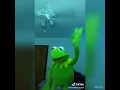 Funny Kermit the frog s of 2020 Part 8