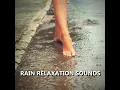 Lucid Daybreak Rain Sounds