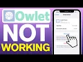 How To Fix Owlet Dream App Not Working 2025
