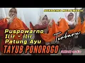 Lagu TAYUB PONOROGO 2025 Puspowarno ~ Patung Ayu live Guyangan Tugurejo Slahung Ponorogo