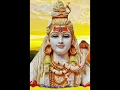 Download Lagu Om Tatpurushaya Vidmahe Mahadevaya Dhimahi Tanno Rudrah Prachodayat || #shiv #sanatan #gayatrimantra
