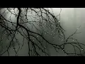 Parfait Bruit de Pluie pour se Détendre Étudier Dormir 🎧 Perfect Rain to Relax Study Sleep ▪ 10H