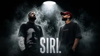        سيري                                                دندنها