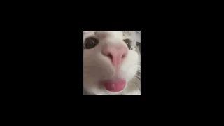 just be competent best part looped filler 