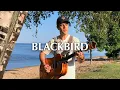 Download Lagu Blackbird - Northern Skylight (Beatles Cover)