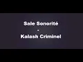 KALASH CRIMINEL Sale sonorité(parole Lyrics)