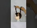 Download Lagu DIY LAYERED HAIRCUT #shortvideo #haircuttutorial #layered