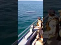 Download Lagu Leaked footage of a UFO seen rising from the ocean during a navy operation! Breaking news!