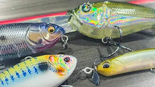 Where Do Bass Go In The Fall? ( How They Position And How To Catch Them )