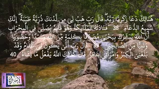 هنالك دعا زكريا ربه بصوت احمد بن علي العجمي 