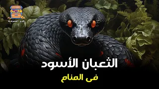 إذا رأيت ثعبان أسود يلدغك في المنام هذا ما سيحدث لك دندنها