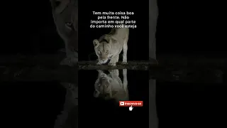 Tem muita coisa boa pela frente! #motivacao #reflexão #motivacao