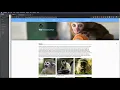 Adding Javascript to a Web Page