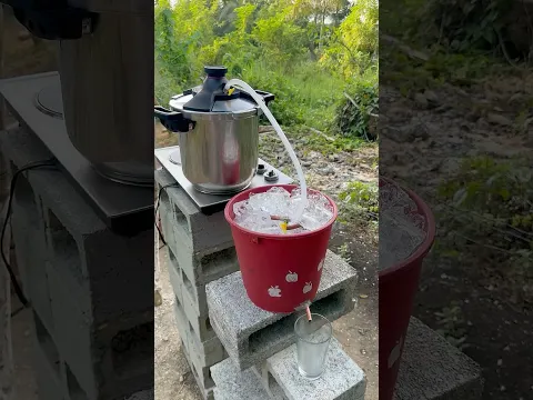 Cómo hacer aceites esenciales e hidrolatos de lavanda, romero, tomillo etc en casa