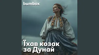 Їхав козак за Дунай 