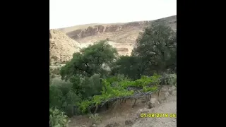 Cheikh Zeroual Khalinou Khalinou 