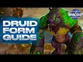 Mage Tower Is HARD Again Druid Fel Werebear Form Guide Midnight