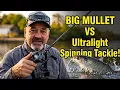 Big Mullet VS Ultralight Spinning Tackle