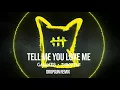 Galantis & Throttle - Tell Me You Love Me (DropGun Remix)