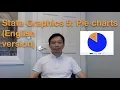 Stata Graphics 5 Pie chart English version