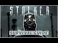 So you want to play Ironman A STALKER Anomaly Survival guide