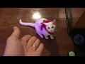 Voyager Step-in Air Cat Harness Instructions