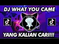 Download Lagu DJ WHAT YOU CAME X TEKI GAN PARGOY SANTUY VIRAL TIKTOK TERBARU 2022