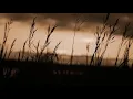 After Dark - sugi.wa