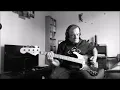 Axel Bauer & Brigitte Fontaine - Merde à la Mer - [Bass Cover]