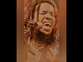Stephen Marley - Tipsy Dazy