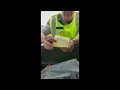WWE star Lacey Evans gets a speeding ticket in Edmonton