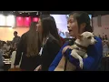 The Furball