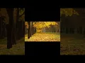 Download Lagu ნუ მებუტები - DJ PaTo 