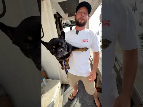 Commercial Conch Fishing: Behind the Scenes