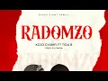 Download Lagu Kojo Gyamfi ft Tida B - RadomZo (prod by FimFim)