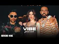 Vibe ( slowed + reverb ) Guru Randhawa | French Montana | Shanaya Kapoor