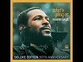 Inner City Blues (Make Me Wanna Holler) (Mono Single Version)