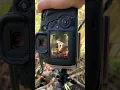 Canon EOS 5D Mark IV Camera Canon 400mm 6L EF USM Lens beautiful photography 4k