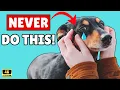 Download Lagu 16 Things You MUST STOP Doing with Your Dog!