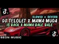 Download Lagu DJ TELOLET X MAMA MUDA IS BACK X MAMA BALE BALE VIRAL TIK TOK (SLOWED + REVERB)