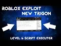 ROBLOX Trigon New Exploit Level 6 Script Executer PATCHED